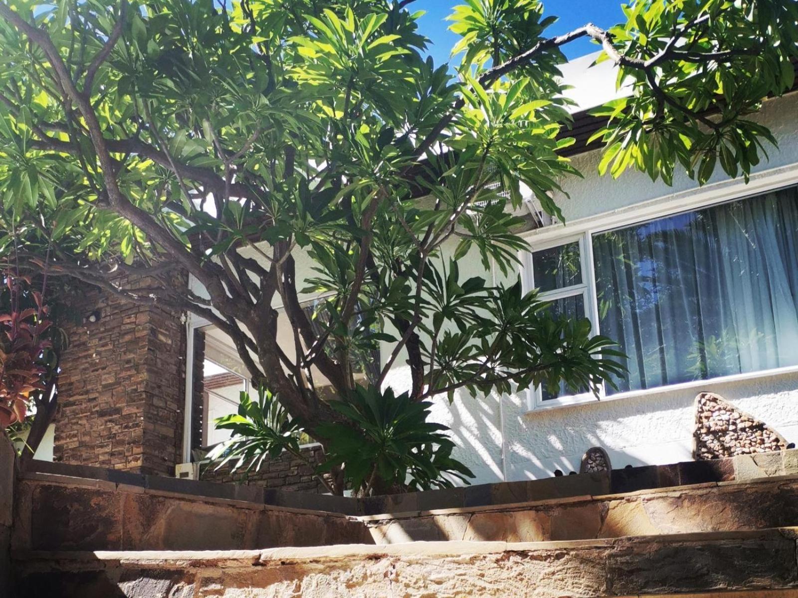 Guesthouse Terra Africa ويندهوك المظهر الخارجي الصورة